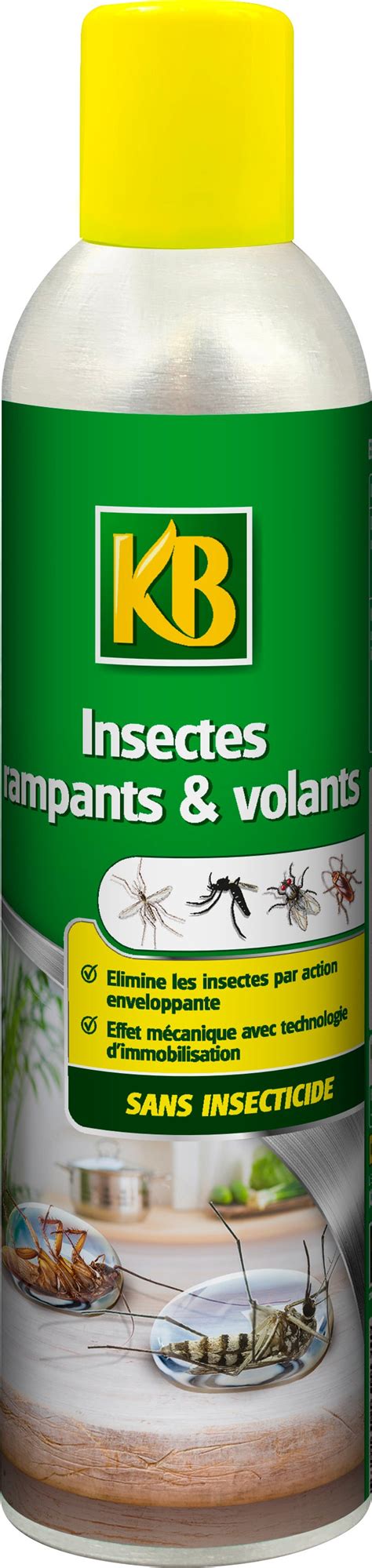 Anti insectes aérosol insectes volants et rampants KB 300 ml Leroy