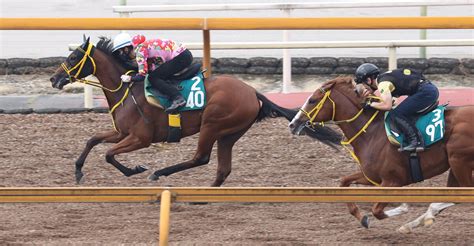 【月曜の注目新馬】兄は菊花賞2着馬サトノルークスのリッスンアップ、旺盛な前進気勢＆力強い脚さばき スポーツ報知