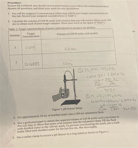 Procedure In Your Lab Notebook You Should Record Chegg