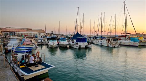 Ferienwohnung Hafen von Jaffa Ferienhäuser mehr FeWo direkt