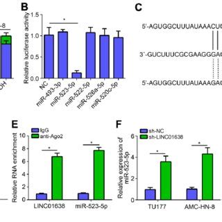 LINC01638 Promoted LSCC Progression Through MiR 523 5p BATF3 Pathway