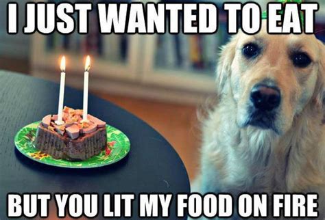 100 Ultimate Funny Happy Birthday Memes Birthday Wishes