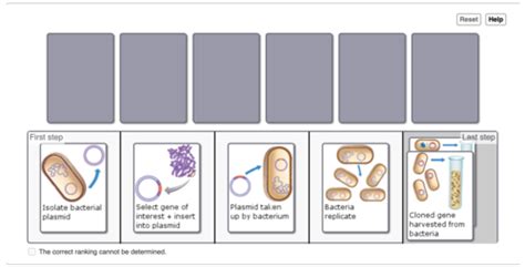 Microbiology Chapter 9 Flashcards Quizlet