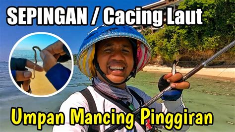 Explore Spot Mancing Pake Umpan Cacing Laut Umpan Jitu Youtube