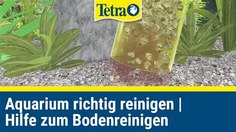 Aquarium Richtig Reinigen Schnelle Hilfe Zum Bodenreinigen YouTube