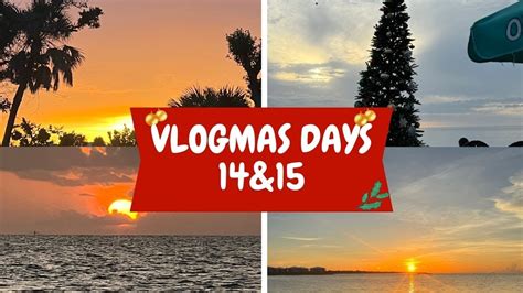 VLOGMAS DAYS 14 15 Busy Days Prepping To Move Into My New House Vet