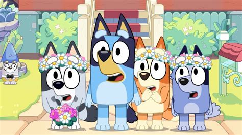 Bluey Special Episode The Sign Gets Trailer