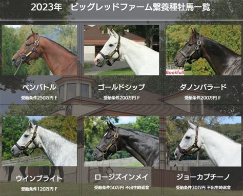 【競馬】ゴルシ産駒初のg1馬『ユーバーレーベン』が屈腱炎のため引退 今後は繁殖牝馬へ ウマ娘うまぴょい速報