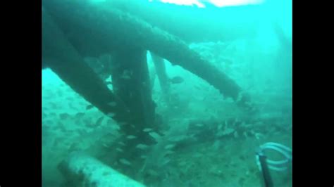 Scuba Dive Panama City Beach Map