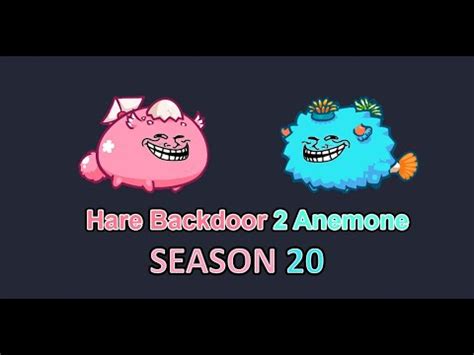 Double Anemone Aqua Hare Backdoor Bird Gameplay Axie Infinity YouTube