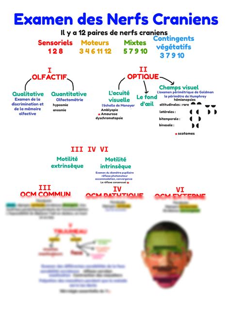 Solution Etude Des Nerfs Cr Niens Studypool