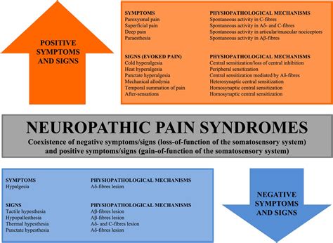 Neuropathic Pain Diagnosis And Treatment Practical Neurology