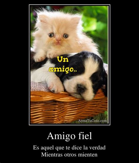 Amigo Fiel