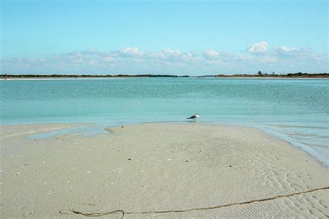 Honeymoon Island Florida Photograph by Unseen Beaches - Pixels