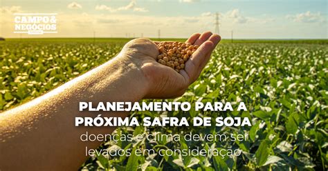 Planejamento para a próxima safra de soja doenças e clima devem ser