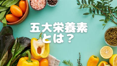 「五大栄養素｣の基礎をシンプルに解説！ Food Magazine