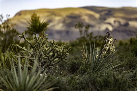 Red Rock Canyon Nevada Paysage Photo Gratuite Sur Pixabay Pixabay