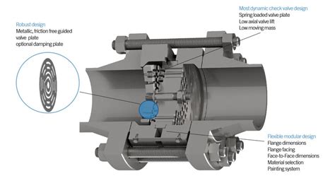 Plate Check Valve Components For Reciprocating Compressors Products