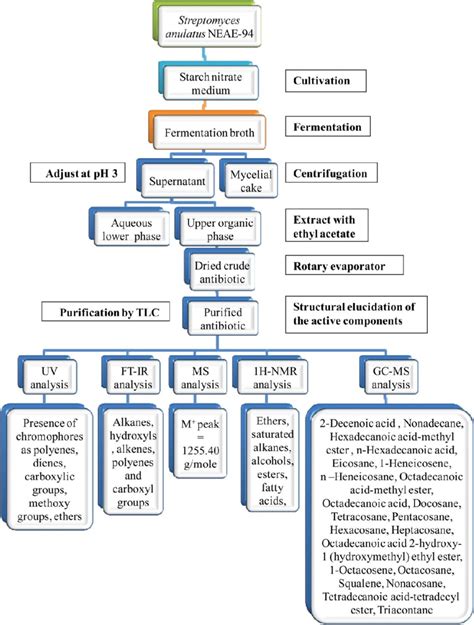 Schematic Representation Of The Procedures For Antibiotic Isolation