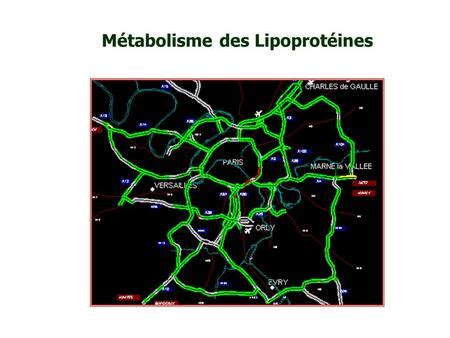 M Tabolisme Des Acylglyc Rols Et Des Sphingolipides Ppt Video Online