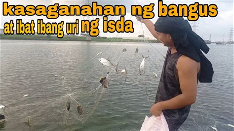 Catchncook Nakadali Ako Ng Mga Bangus At Ibat Ibang Uri Ng Isda