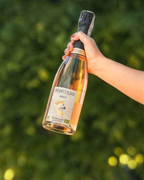 Wino francuskie musujące AOP Cremant Rose d Alsace Dagobert Prestige Brut