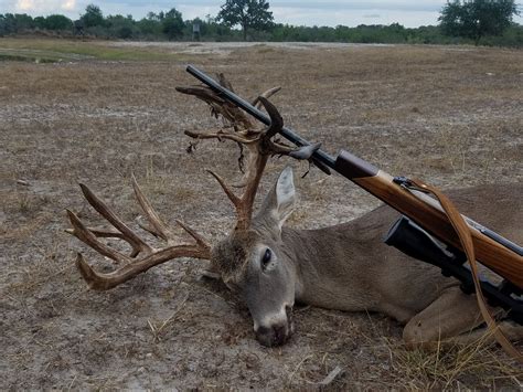 South Texas Deer Hunting Outfitters Affordable Trophy Whitetail Hunts