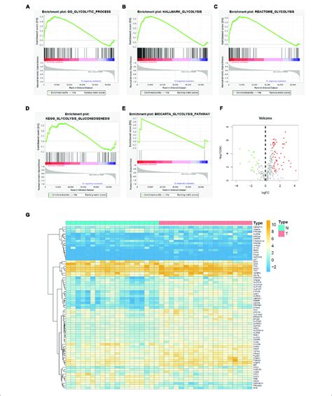 Gene Set Enrichment Analysis Gsea And Glycolysis Related Degs Of Bc