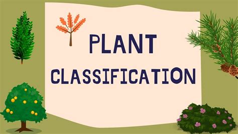 Classification Of Plants