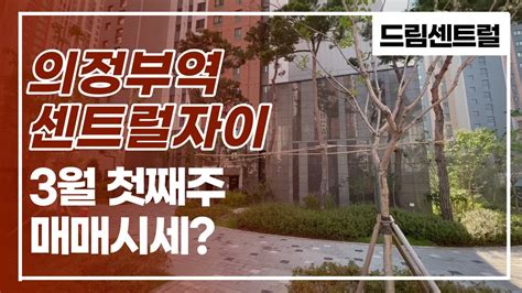 의정부역센트럴자이and위브캐슬 단지내 부동산이 알려주는 현재 거래 가능한 매매시세 📞010 9057 1412 Youtube