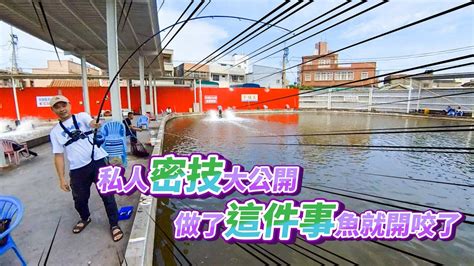 【台客去釣魚】釣魚密技大公開！只要我做了這一件事魚馬上咬！ Feat龍來海釣場 海湖場 Youtube