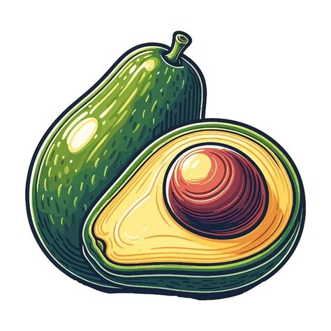 Premium Vector Avocado Vector Illustration