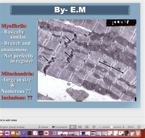 Cardiac Muscle II Flashcards Quizlet