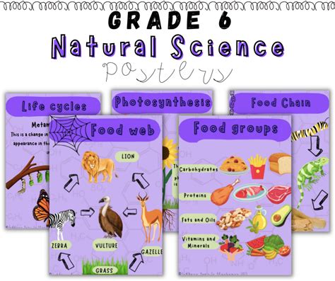 Grade 6 Natural Science Term 1 Posters