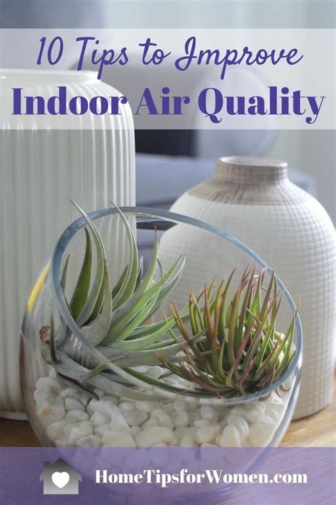 Tips To Improve Indoor Air Quality Live Healthy Lives Improve