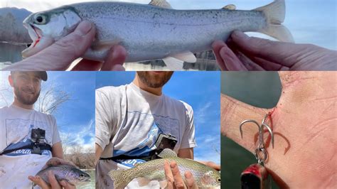 Long Day Of Catching Trout Quail Lake Colorado Fishing March 7th 2021