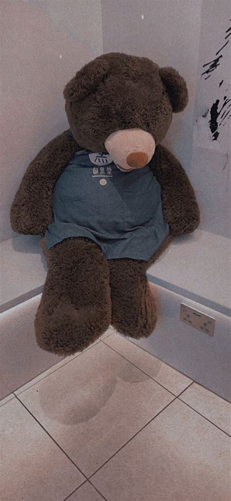 A Brown Teddy Bear Sitting On Top Of A Toilet