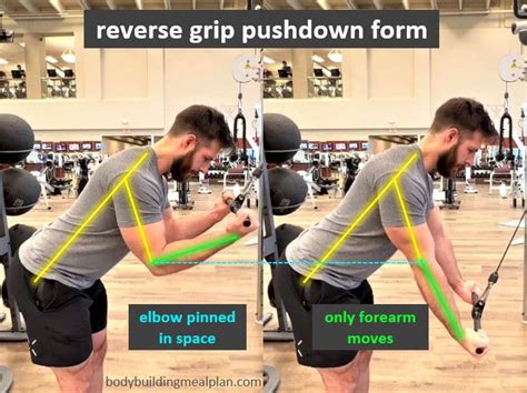 Reverse Grip Tricep Pushdown vs Overhand Grip For Bigger Arm Gains