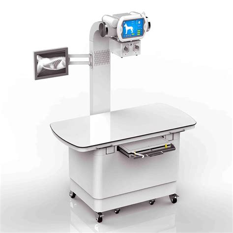 Veterinary X Ray Ma Ma Fixed Medical X Ray Equipment Digital Xray