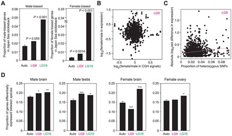 Contribution Of Neo Sex Chromosomes To The Evolution Of Sex And Species Download High