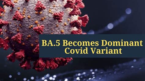 Omicron BA 5 Becomes Dominant COVID Variant In Germany 7 Key Symptoms