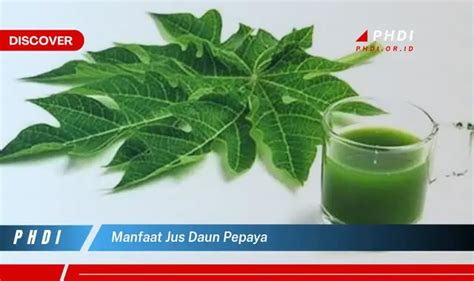 Ketahui 7 Manfaat Jus Daun Pepaya Yang Jarang Diketahui