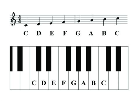 | Musical notes on a piano keyboard. | Download Scientific Diagram