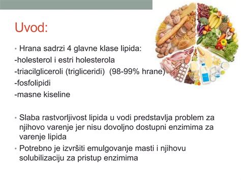 Metabolizam Lipida Ppt