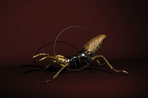 Cecropia on Behance