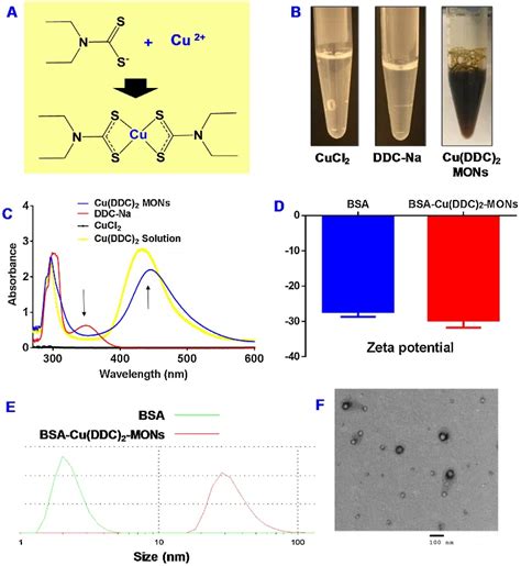 Fig Characterization Of Bsa Cu Ddc Mons A Schematic