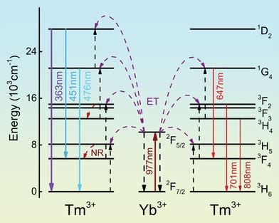 Proposed energy level mechanisms of Tm³ and Yb³ under 977 nm laser