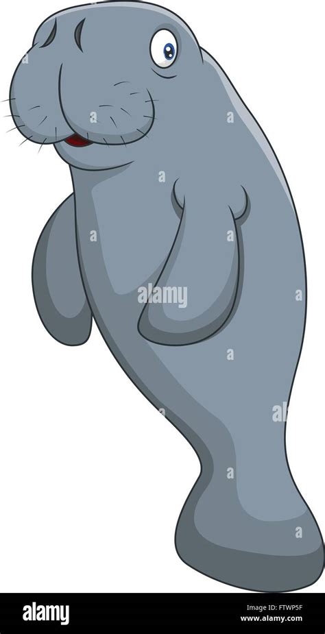 Cute cartoon manatee Stock Vector Image & Art - Alamy