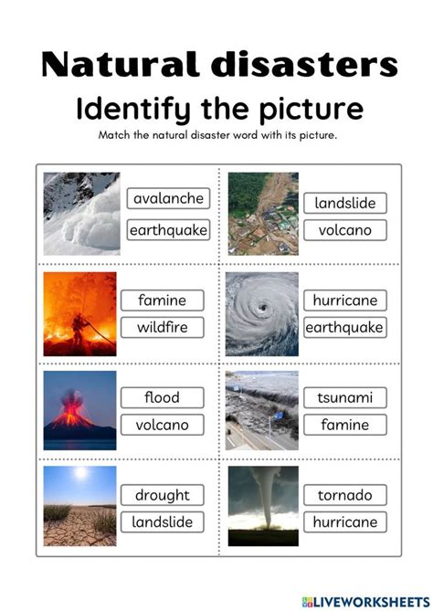 Natural Disasters Exercise For A2 Form 1