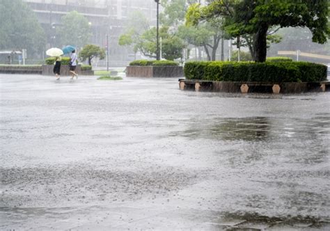 本土登革熱病例破千，颱風過後要落實清除蚊子孳生源 健康遠見